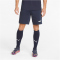 PUMA teamFINAL Casuals Sweatshorts Herren parisian night XL