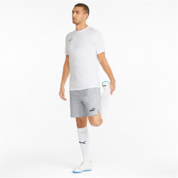 PUMA teamFINAL Casuals Sweatshorts Herren light gray...
