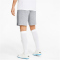 PUMA teamFINAL Casuals Sweatshorts Herren light gray heather XL