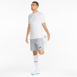 PUMA teamFINAL Casuals Sweatshorts Herren light gray...