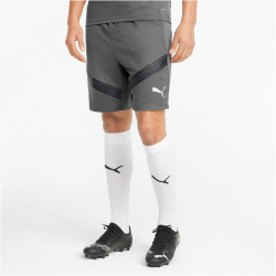 PUMA teamFINAL Trainingsshorts Herren smoked pearl/puma black L