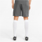 PUMA teamFINAL Trainingsshorts Herren smoked pearl/puma black L