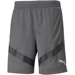 PUMA teamFINAL Trainingsshorts Herren smoked pearl/puma...