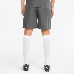 PUMA teamFINAL Trainingsshorts Herren smoked pearl/puma black S