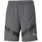 PUMA teamFINAL Trainingsshorts Herren smoked pearl/puma black S