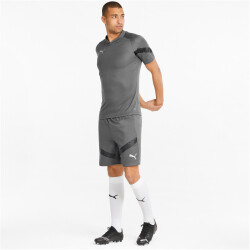 PUMA teamFINAL Trainingsshorts Herren smoked pearl/puma...