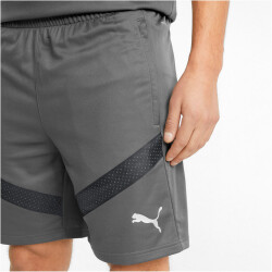 PUMA teamFINAL Trainingsshorts Herren smoked pearl/puma black XL