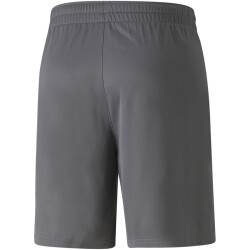 PUMA teamFINAL Trainingsshorts Herren smoked pearl/puma black XL