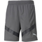 PUMA teamFINAL Trainingsshorts Herren smoked pearl/puma black XL