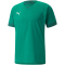 PUMA teamFINAL Trikot Herren pepper green/alpine green L