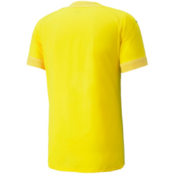 PUMA teamFINAL Trikot Herren cyber yellow/freesia L