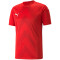 PUMA teamGLORY Trikot Herren puma red XXL