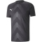 PUMA teamGLORY Trikot Herren PUMA black M