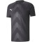PUMA teamGLORY Trikot Herren puma black S