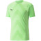 PUMA teamGLORY Trikot Herren fizzy lime M