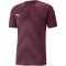 PUMA teamGLORY Trikot Herren grape wine S
