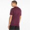 PUMA teamGLORY Trikot Herren grape wine S