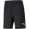 PUMA teamFINAL Trainingsshorts Herren puma black XXL