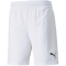 PUMA teamFINAL Trainingsshorts Herren puma white 3XL