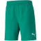 PUMA teamFINAL Trainingsshorts Herren pepper green XL