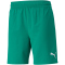 PUMA teamFINAL Trainingsshorts Herren pepper green L