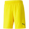 PUMA teamFINAL Trainingsshorts Herren cyber yellow S