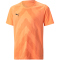 PUMA teamGLORY Trikot Kinder neon citrus 176