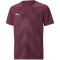 PUMA teamGLORY Trikot Kinder grape wine 152