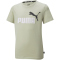 PUMA Ess+ Metallic 2 Col Logo T-Shirt Jungen spring moss 152