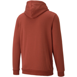 PUMA Ess+ Metallic Embroidery Logo Hoodie Fleece chili oil M