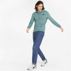 PUMA Ess+ Metallic Embroidery Logo Hoodie Fleece mineral...