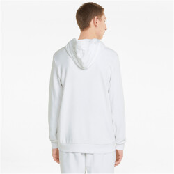 PUMA Ess+ Metallic Rainbow Hoodie Herren
