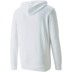 PUMA Ess+ Metallic Rainbow Hoodie Herren
