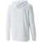 PUMA Ess+ Metallic Rainbow Hoodie Herren
