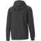 PUMA Ess Big Logo Fleece-Hoodie Herren dark gray heather S