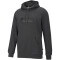 PUMA Ess Big Logo Fleece-Hoodie Herren dark gray heather XXL
