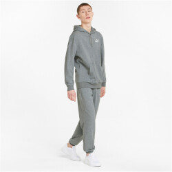 PUMA Ess+ Metallic Hoodie Herren medium gray heather M