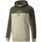 PUMA Ess+ Metallic Block Hoodie Herren putty L