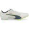 PUMA Evospeed Tokyo Future Jump 3 Leichtathletikschuhe