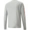 PUMA Train Logo langarm Trainingsshirt Herren
