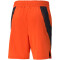 PUMA Train Vent Woven 7" Trainingsshorts Herren cherry tomato XXL