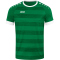 JAKO Celtic Melange kurzarm Trikot Kinder sportgr&uuml;n 140