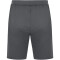 JAKO Allround Trainingsshorts Damen anthra light 38