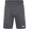 JAKO Allround Trainingsshorts Herren anthra light S