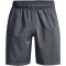 UNDER ARMOUR Woven Graphic Shorts Herren pitch gray L