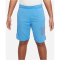 NIKE Dri-FIT Trainingsshorts Kinder