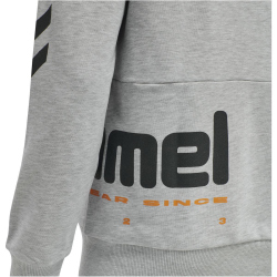 hummel hmlLGC MANFRED Hoodie