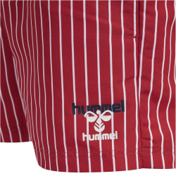 hummel hmlMAX Badeshorts Herren