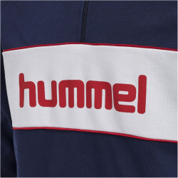 hummel hmlIC DURBAN 1/2-Zip Sweatshirt
