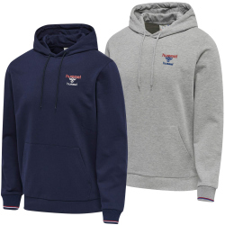 hummel hmlIC DAYTON Hoodie